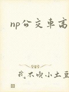 np公交车高h