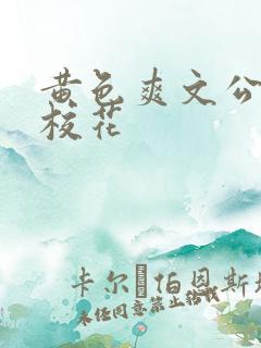 黄色爽文公交车校花