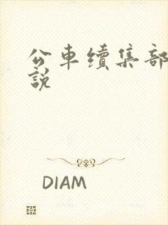 公车续集部分小说