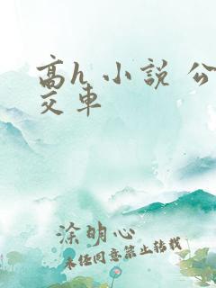 高h 小说 公交车