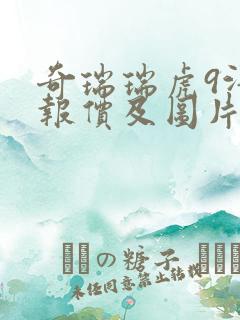 奇瑞瑞虎9汽车报价及图片