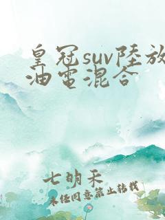 皇冠suv陆放油电混合