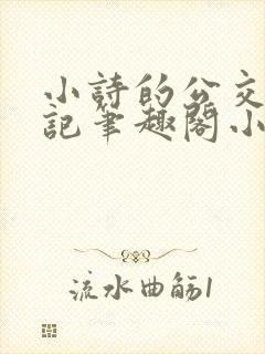 小诗的公交车日记笔趣阁小说