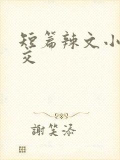 短篇辣文小说公交
