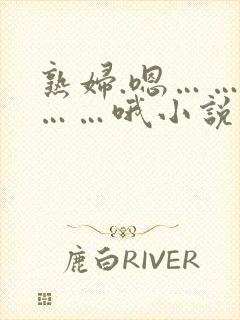 熟妇.嗯……啊……哦小说