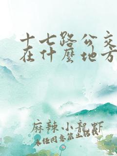 十七路公交车站在什么地方