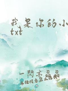 我是你的小小狗txt