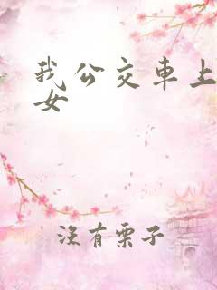 我公交车上插美女