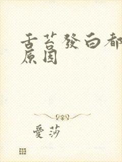舌苔发白都什么原因