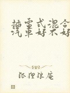 插电式混合动力汽车好不好