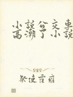 小说公交车被上高潮了小说