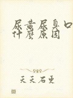 尿黄尿臭口苦是什么原因