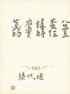怎么样查公交车的实时位置