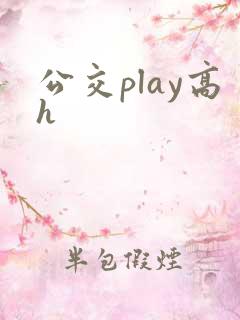 公交play高h
