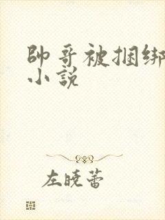 帅哥被捆绑调教小说