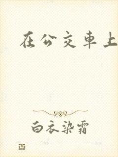 在公交车上被强