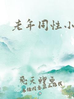 老年同性小说