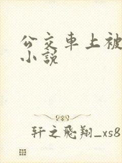 公交车上被强上小说