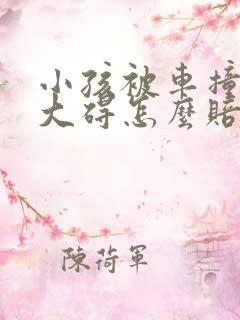 小孩被车撞了无大碍怎么赔偿标准