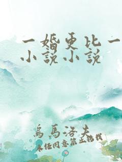 一婚更比一婚高小说小说
