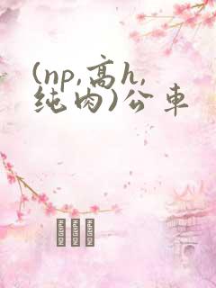 (np,高h,纯肉)公车