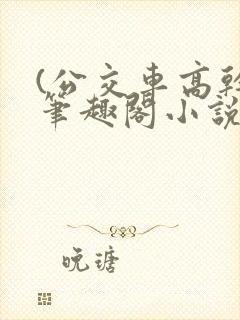 (公交车高干)笔趣阁小说