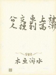 公交车上被陌生人摸到高潮