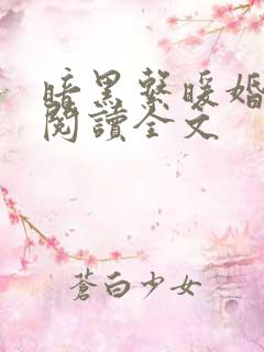 暗黑系暖婚免费阅读全文