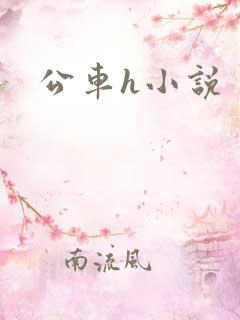 公车h小说