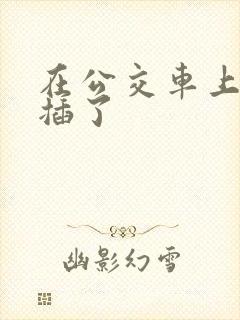 在公交车上被人插了