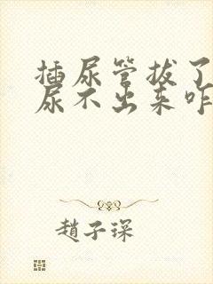 插尿管拔了以后尿不出来咋办