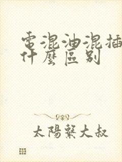 电混油混插混有什么区别