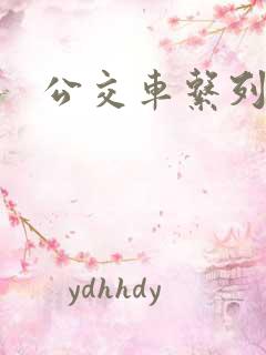 公交车系列爽文