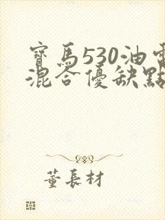 宝马530油电混合优缺点