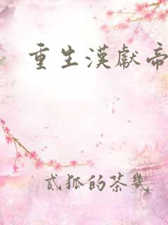 重生汉献帝