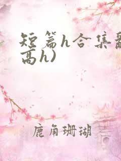 短篇h合集乱(高h)