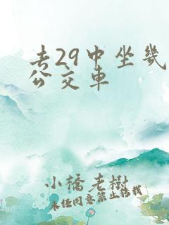 去29中坐几路公交车