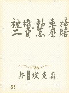 被机动车撞了误工费怎么赔偿