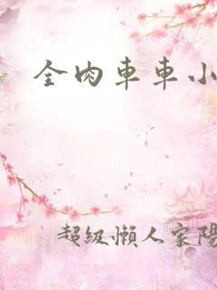 全肉车车小说了