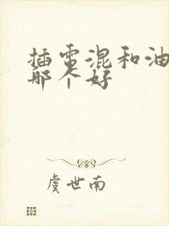 插电混和油电混哪个好