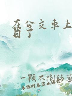 在公交车上被人日了