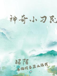 神奇小刁民
