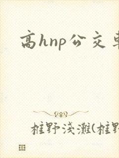 高hnp公交车