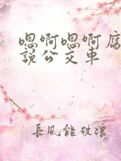 嗯啊嗯啊腐文小说公交车