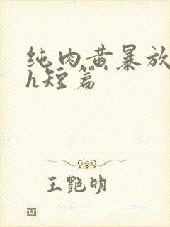 纯肉黄暴放荡高h短篇