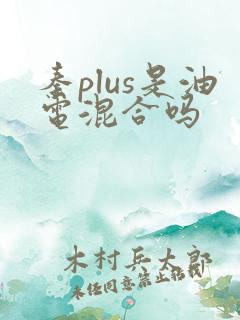 秦plus是油电混合吗