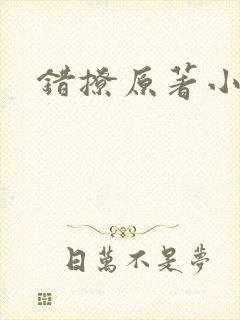 错撩原著小说