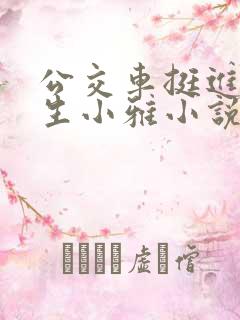 公交车挺进女学生小雅小说