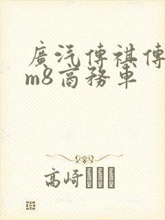 广汽传祺传祺gm8商务车