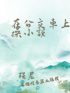 在公交车上被爆操小说